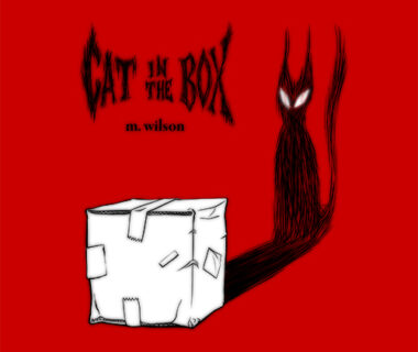 Cat In The Box